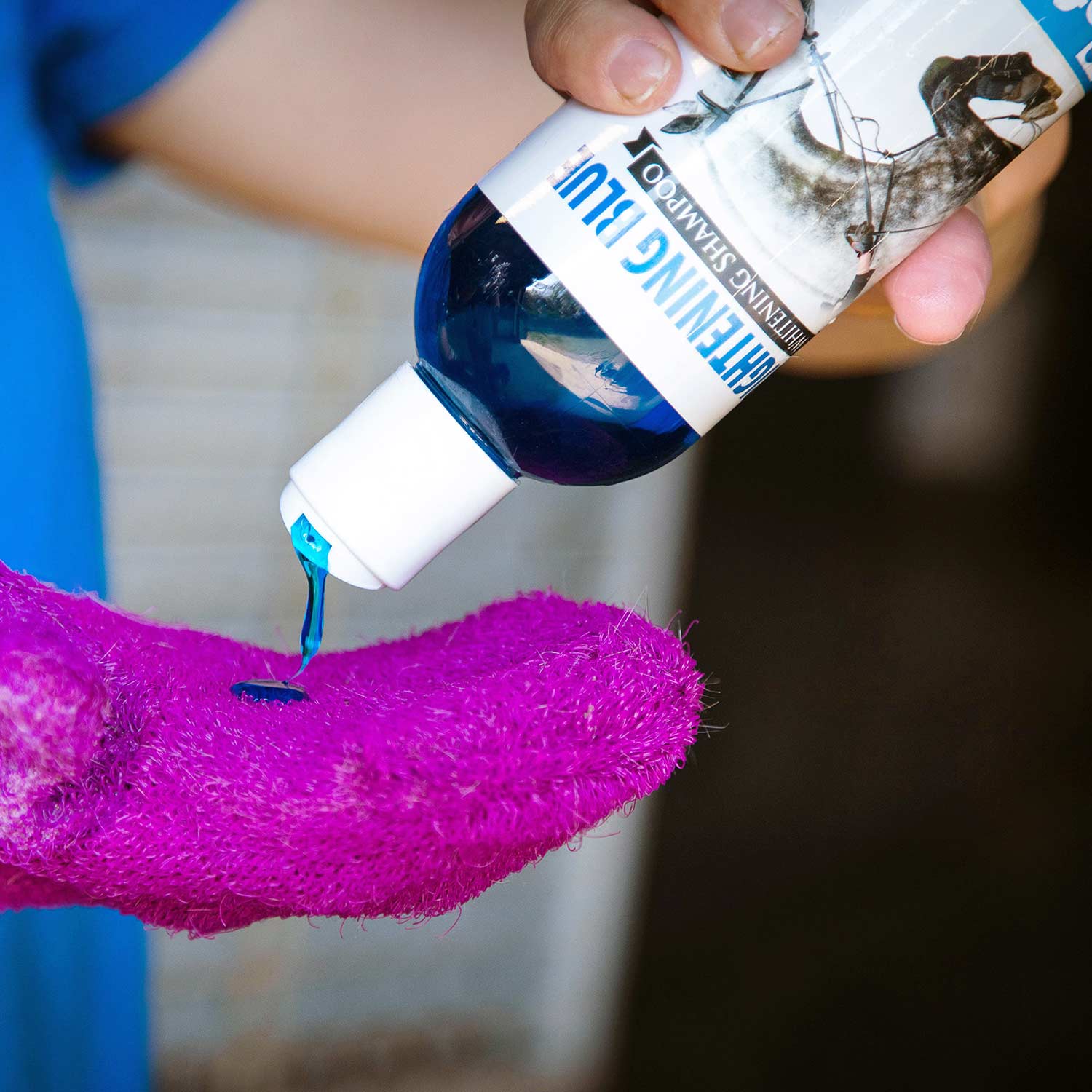 Person applying whitening horse shampoo from blue bottle onto purple grooming sponge