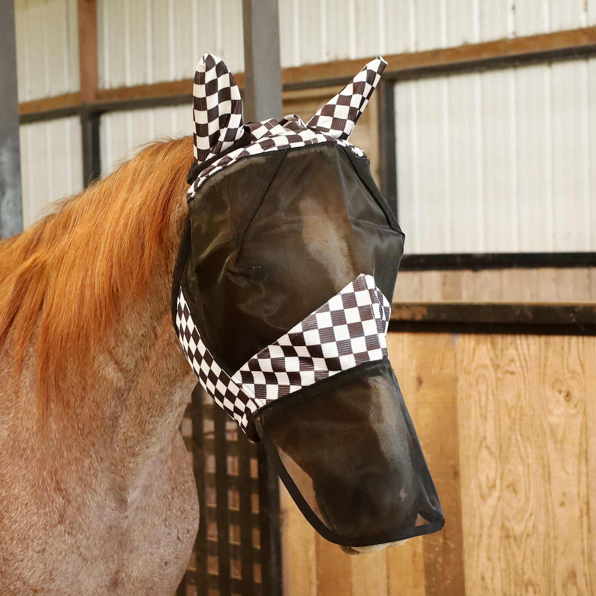 Horse fly mask with ears and nose, black mesh with black-and-white check trim