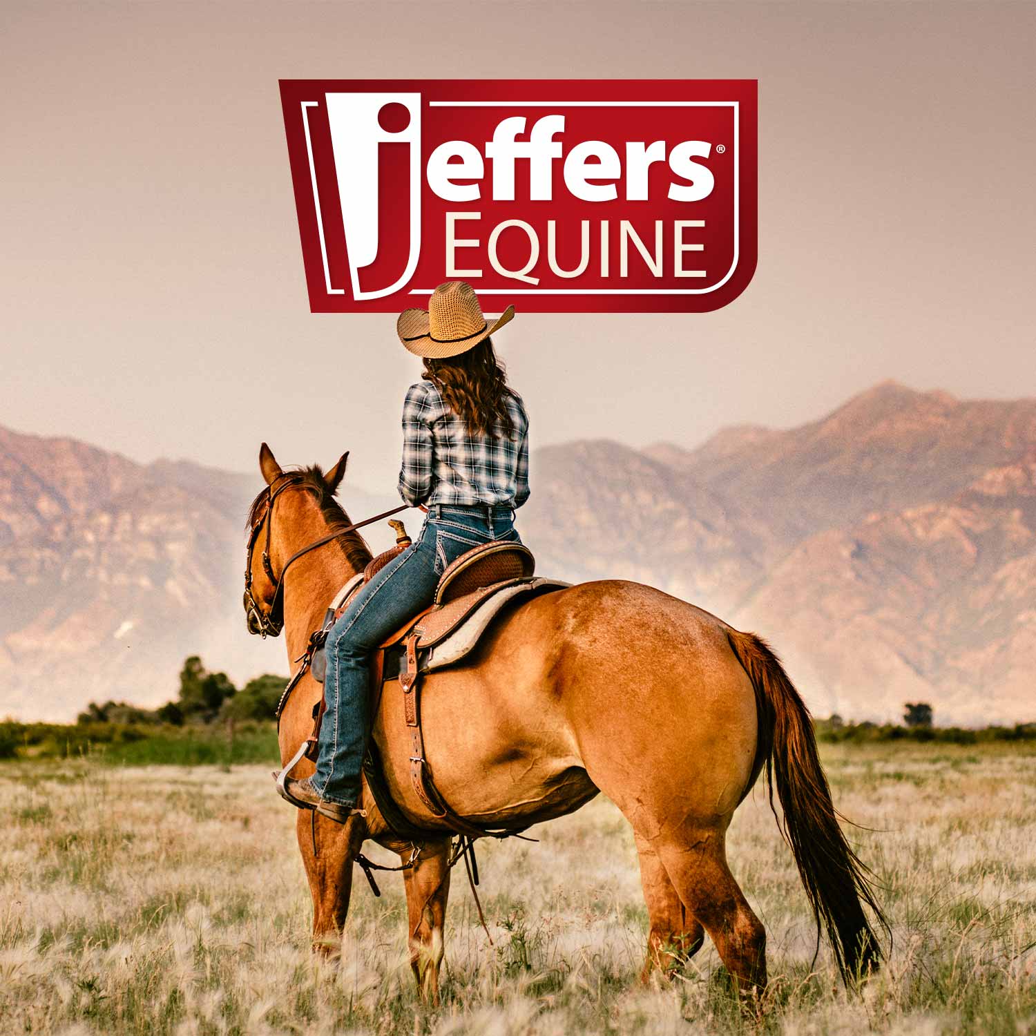Jeffer's Equine logo over rider on horse