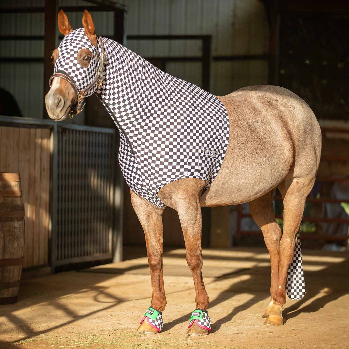 Horse expression lycra hood, black-and-white checkered design with ear openings