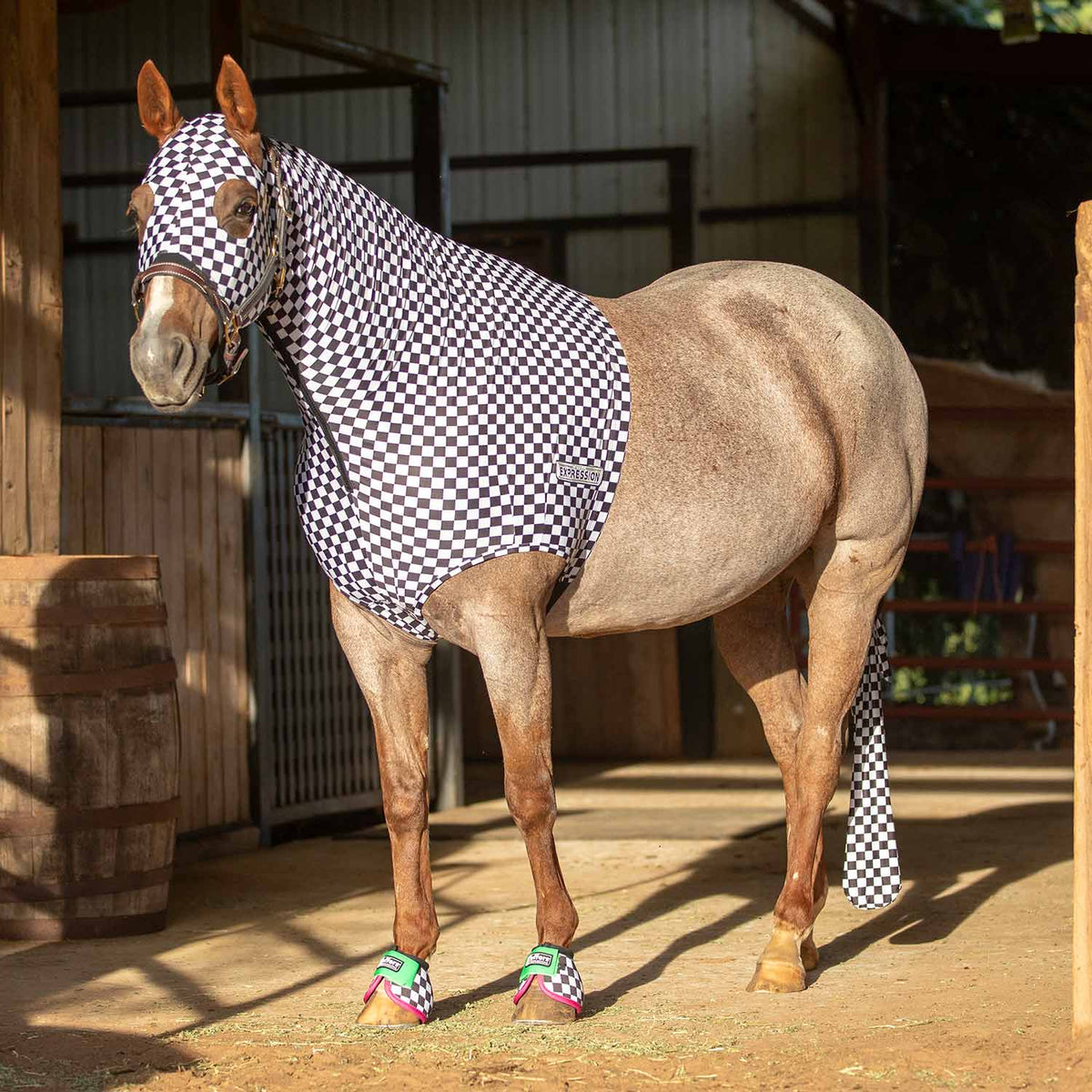 Horse expression lycra hood, full view of black-and-white checkered design