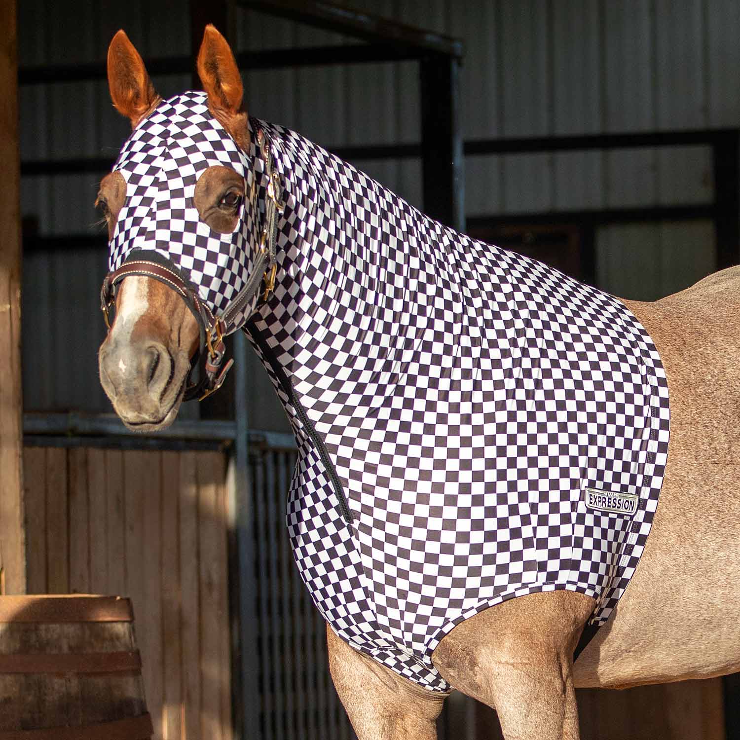 Horse expression lycra hood, black-and-white checkered pattern