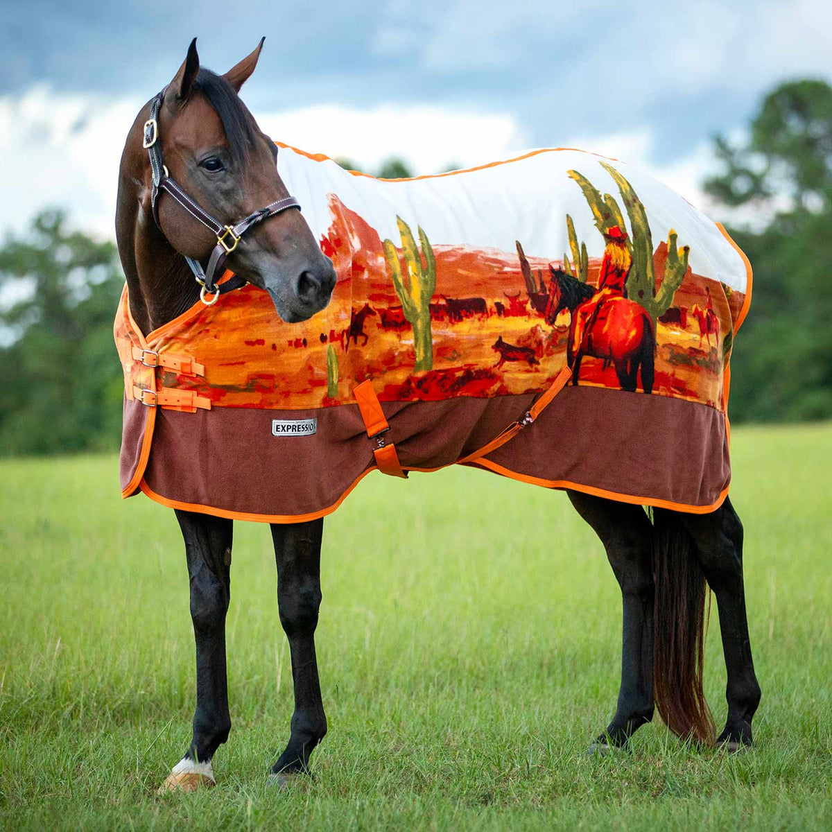 Horse cooler fleece with orange desert scene, cacti print and white border