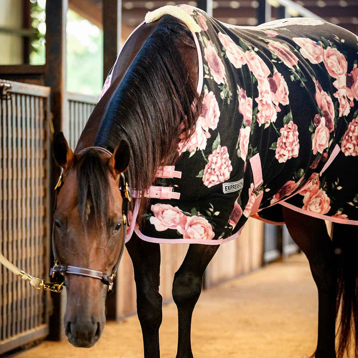 Black fleece horse cooler with pink roses and adjustable front buckles