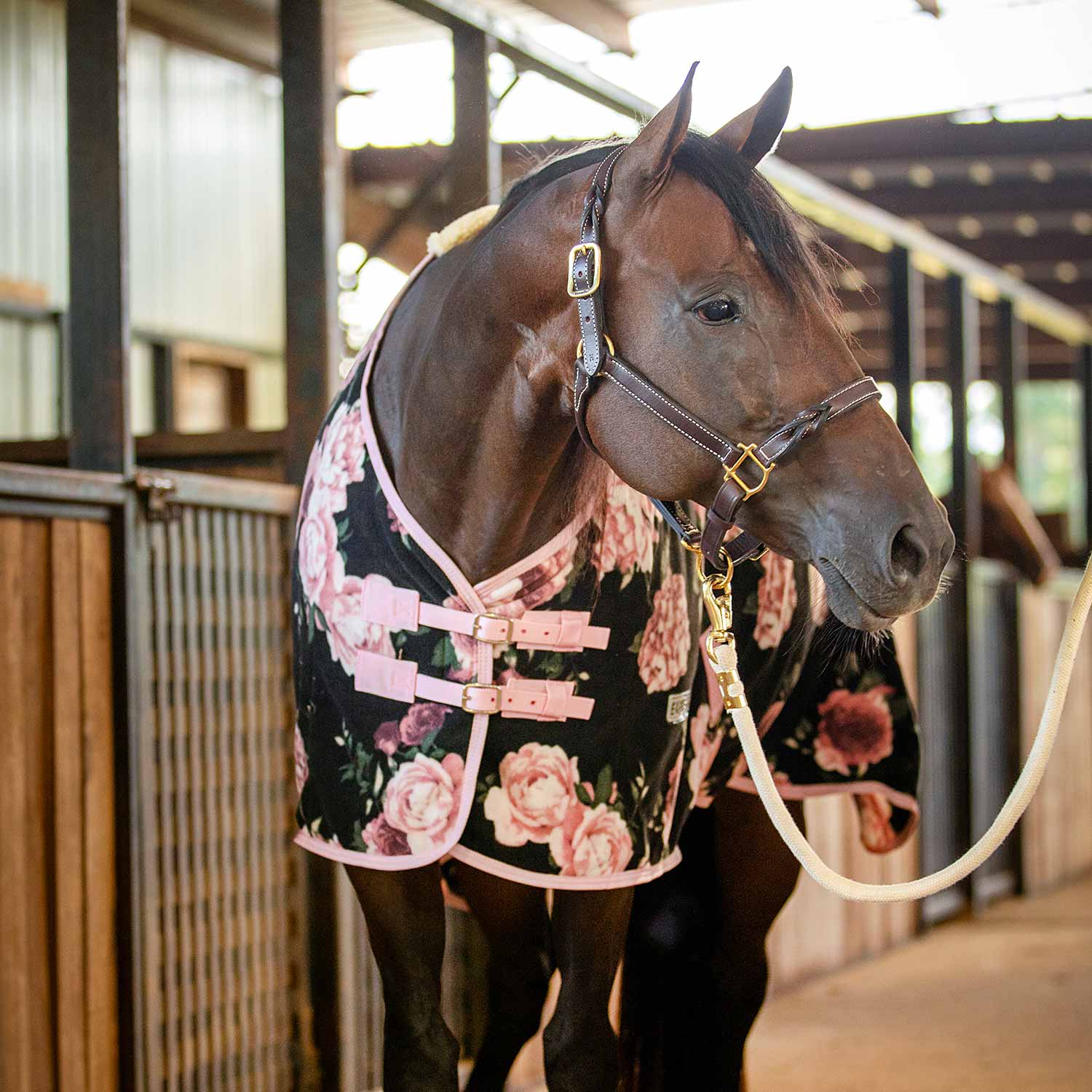 Black fleece horse cooler with pink rose floral print and light pink accents