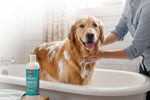 Dog bathing with Jeffers Pet 2% chlorhexidine shampoo bottle, enriched with aloe vera