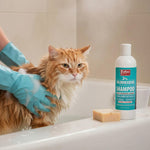 Orange cat in bathtub with Jeffers Pet 2% chlorhexidine shampoo bottle