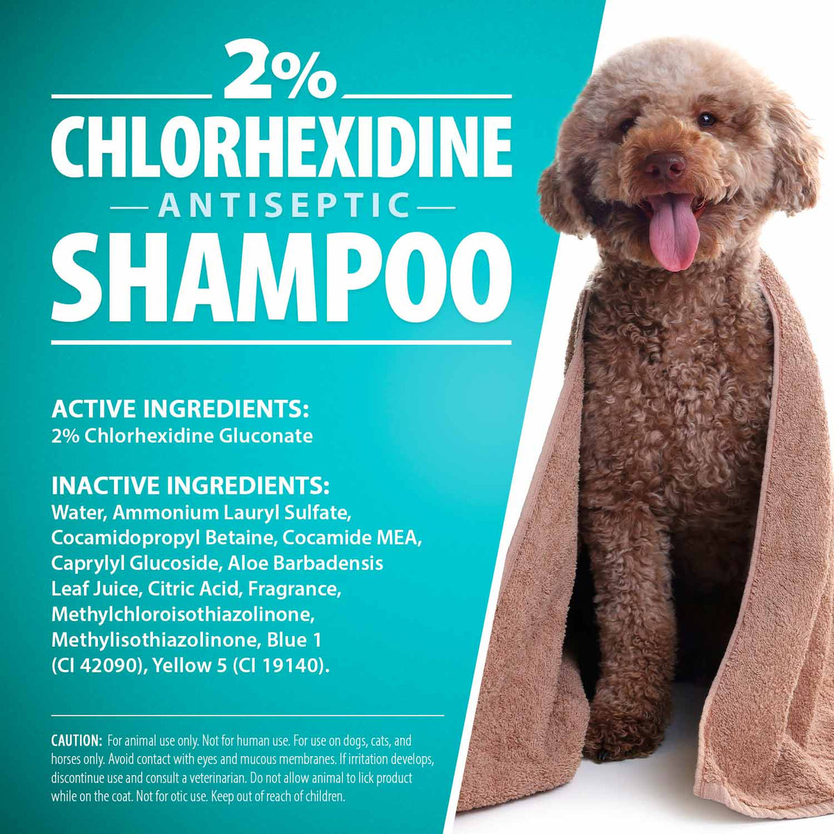 2% chlorhexidine antiseptic shampoo label with ingredient list and dog