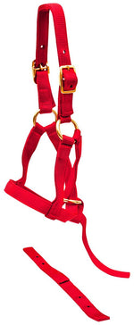 Nylon weanling horse halter, red with adjustable straps and metal buckles
