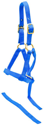 Nylon weanling horse halter, royal blue with adjustable straps and buckles