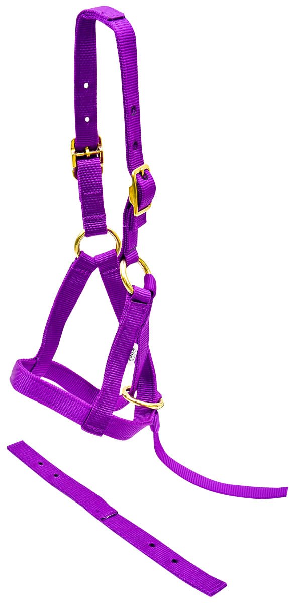 Nylon weanling horse halter, purple with side reins and adjustable buckles