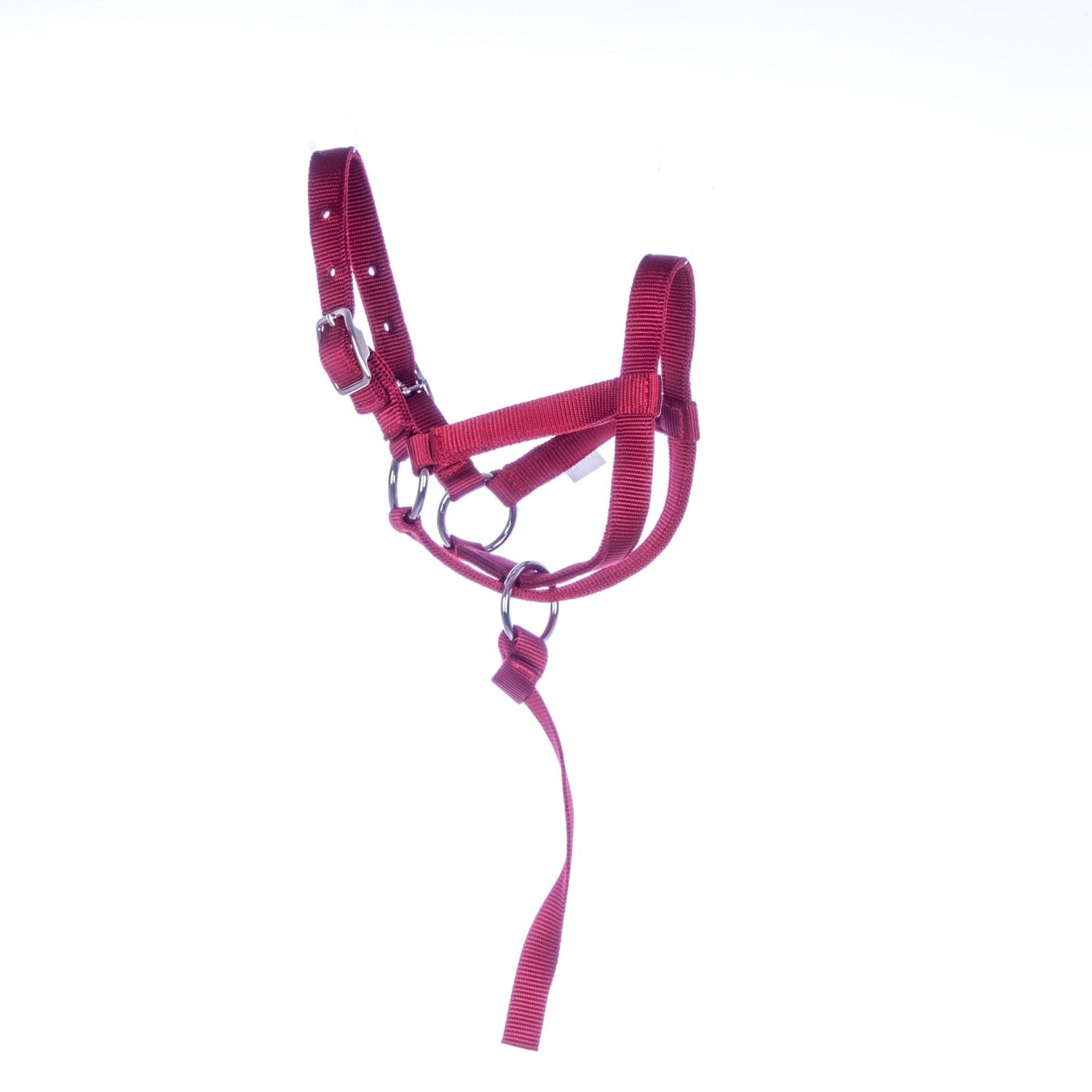 Red nylon llama halter with catch strap, buckles and metal rings