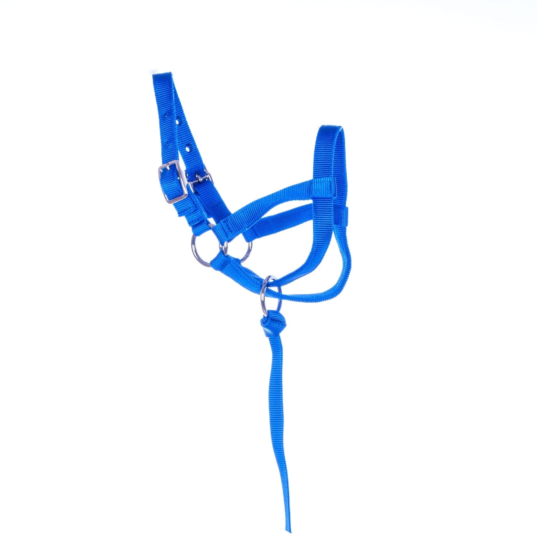 Blue nylon llama halter with catch strap, chin strap and metal hardware