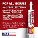 Horse pain relief paste syringe with red label, easy-to-use formula text, white tip