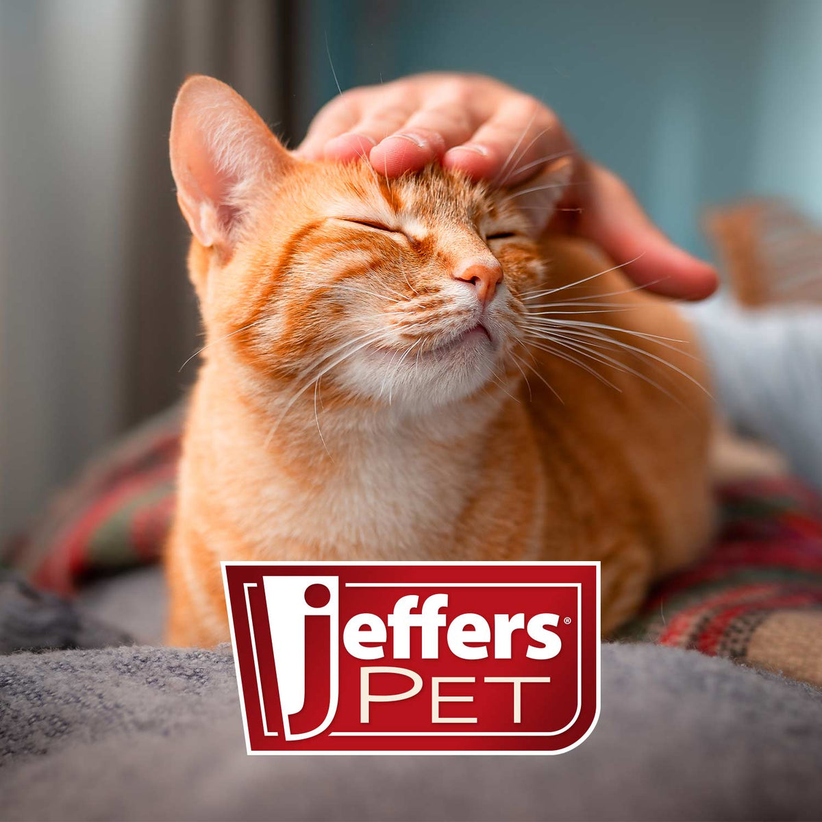 Jeffer's Pet promotional cat portrait with logo overlay on a blanket