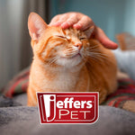 Jeffer's Pet promotional cat portrait with logo overlay on a blanket