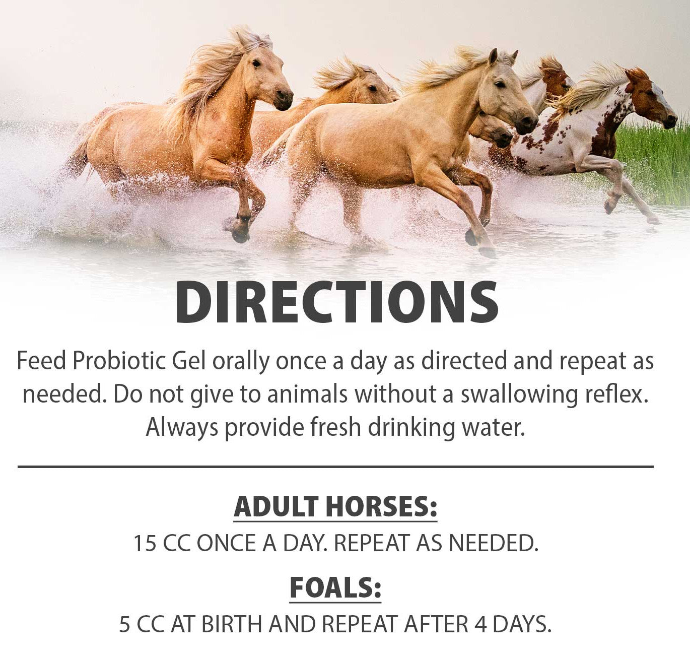 Horses running with “DIRECTIONS” text for probiotic gel use