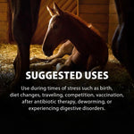 Horse on a dark scene with large “SUGGESTED USES” text for probiotic gel