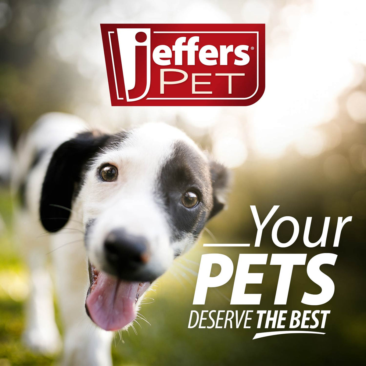 Jeffers PET logo with text: "Your PETS DESERVE THE BEST" promotional graphic
