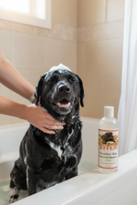 Unscented pet shampoo bottle for sensitive skin, shown with a dog in a bath