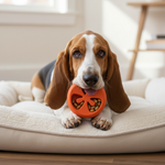 Tomato-shaped treat-dispensing natural rubber dog chew toy, red-orange with treat-filled window