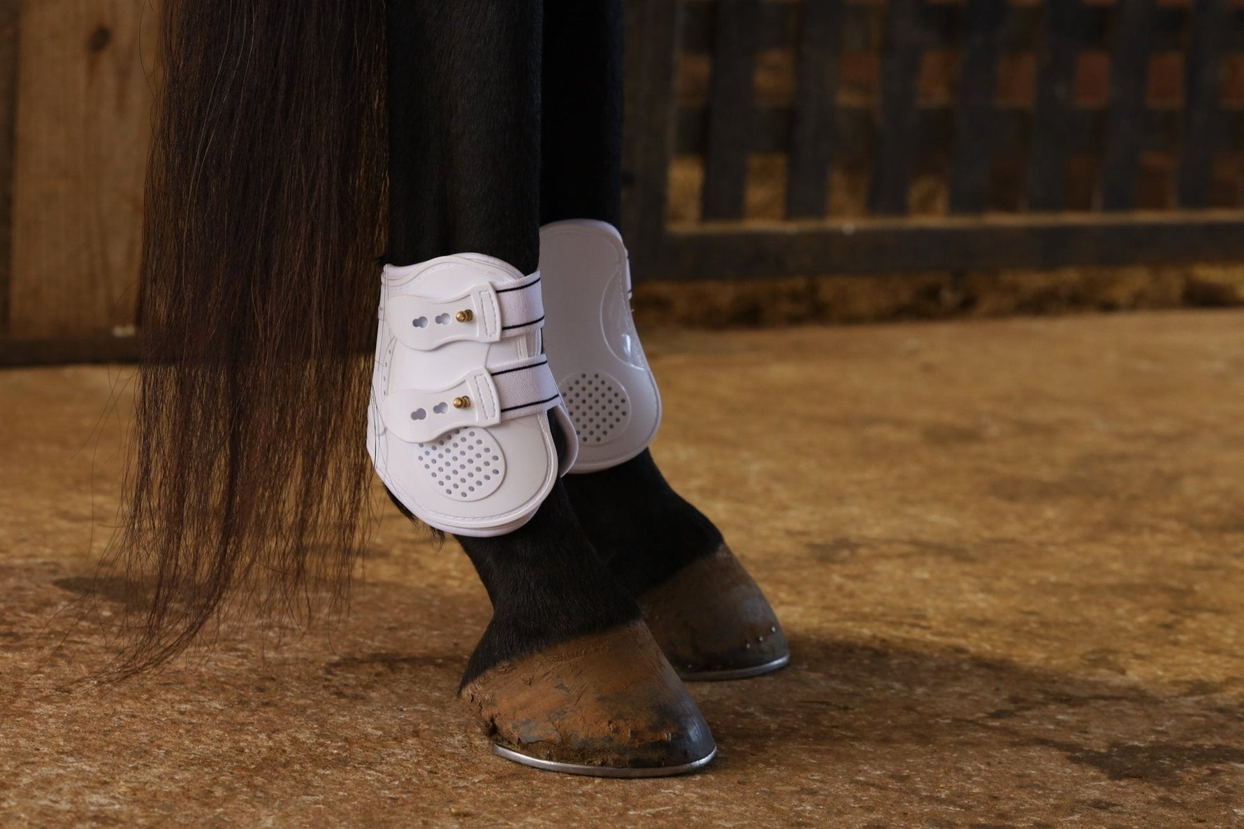 Pair of white fetlock boots worn on horse legs with buckle closures
