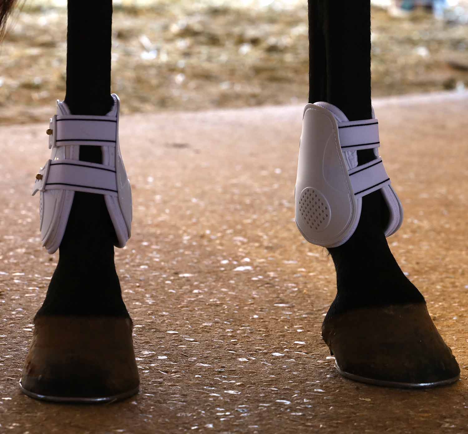 Gray fetlock boots with buckle straps and perforated front panels