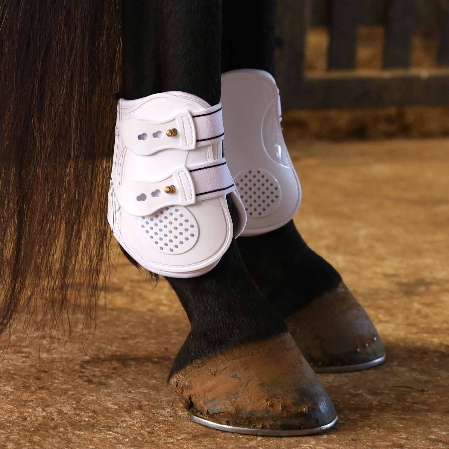 White fetlock boot with two side straps and perforated front panel
