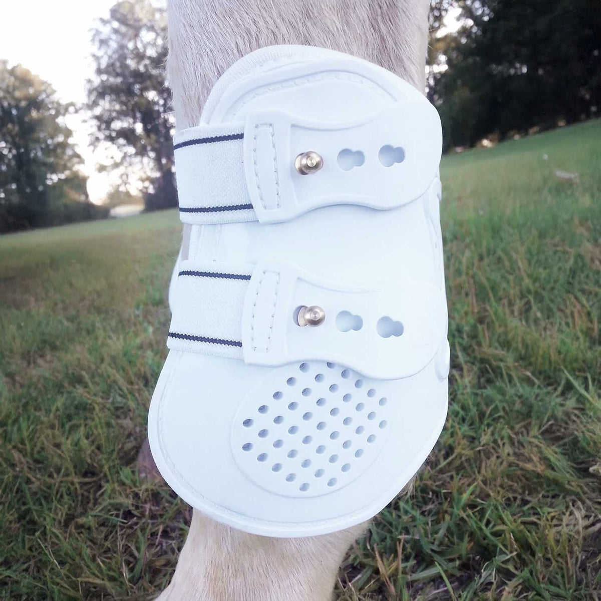 White fetlock boots with blue-striped elastic and perforated pads