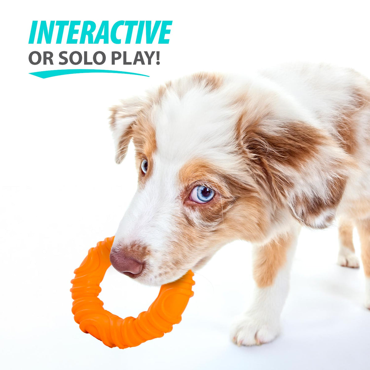 Orange wavy ring dog chew toy with ridged texture