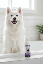 White dog in bathtub with pet whitening shampoo bottle near the rim