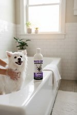 Dog in bathtub with pet whitening shampoo bottle on the tub edge