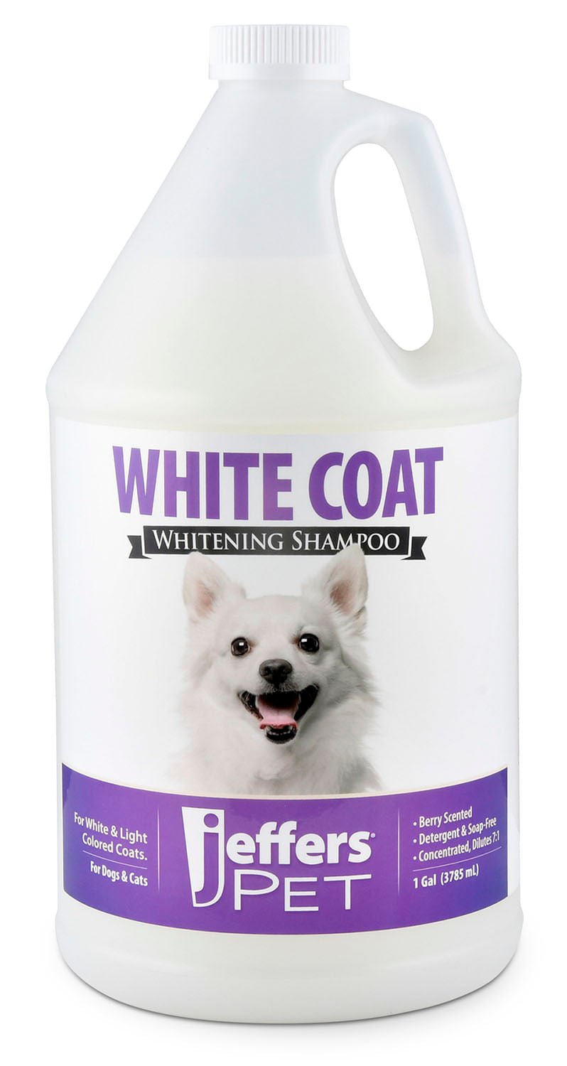 Jeffers Pet White Coat whitening shampoo jug with dog face and purple label