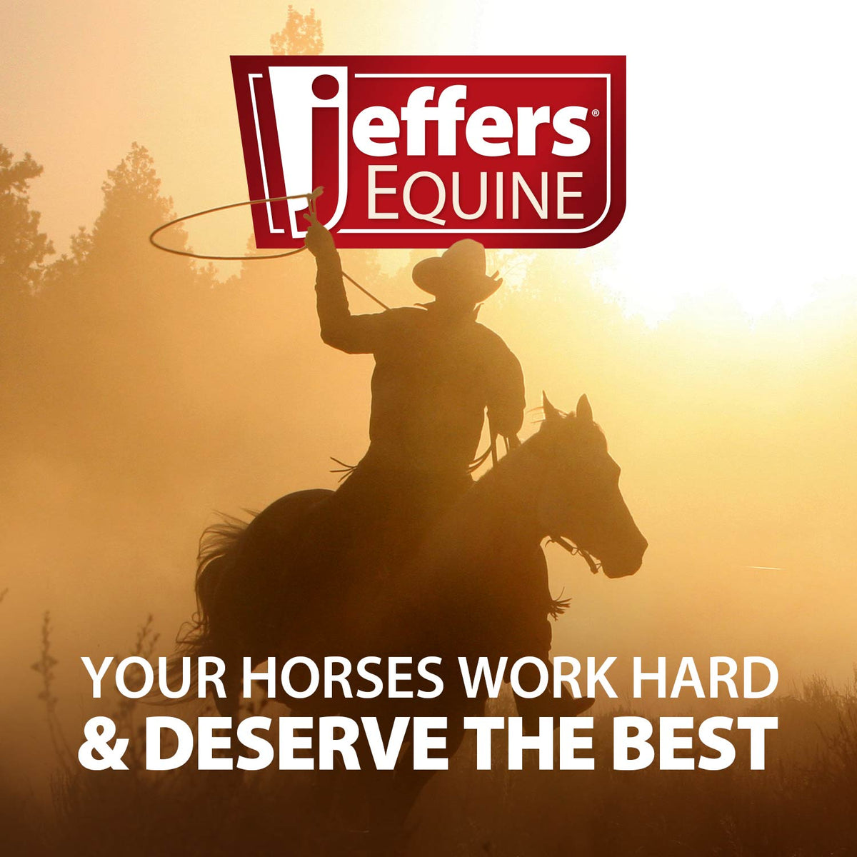 Jeffers Equine promotional banner with horse silhouettes and work hard message
