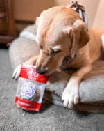 Dog sniffing a small freeze-dried beef liver treats pouch on a couch