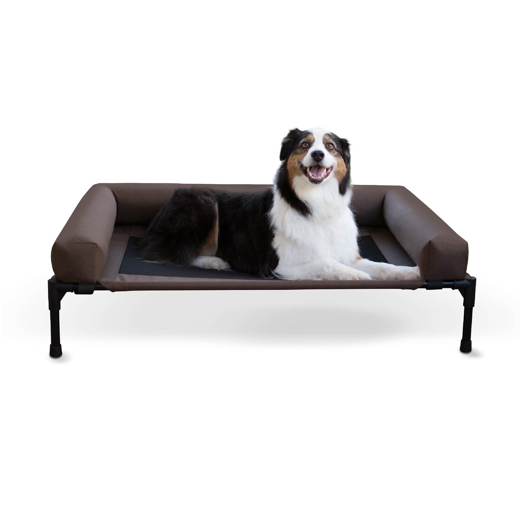 Elevated pet cot with bolstered sides, chocolate brown fabric and dark legs