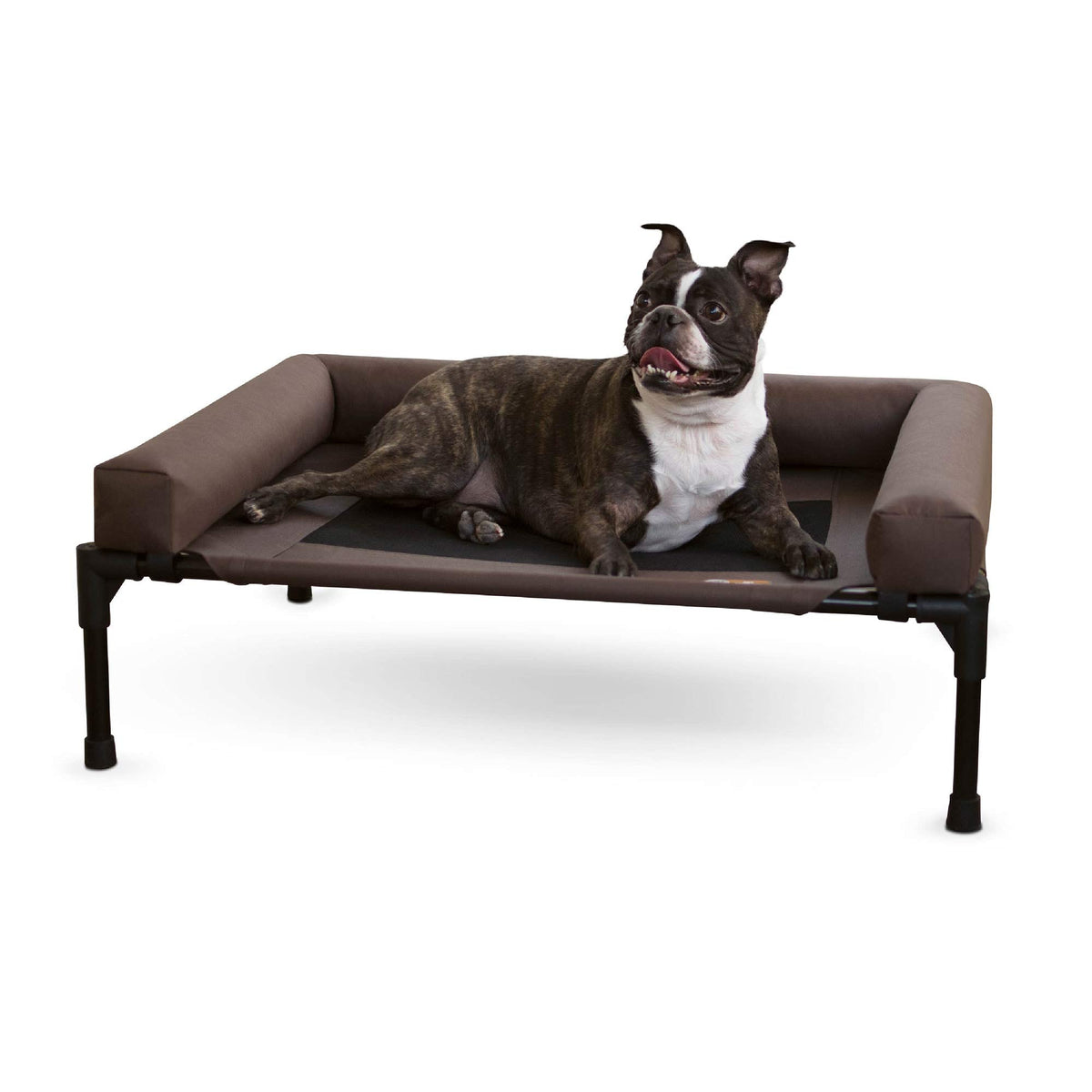Elevated pet cot with bolstered sides, chocolate brown fabric bed and dark legs