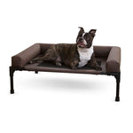 Elevated pet cot with bolstered sides, chocolate brown fabric bed and dark legs