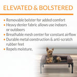 Elevated bolster pet cot with padded sides and dark brown fabric on black metal frame