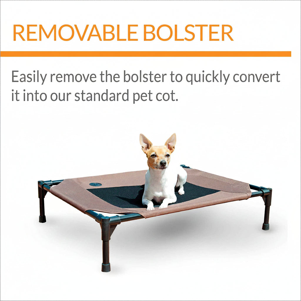 Removable bolster pet cot shown without bolster, mesh center on black metal frame