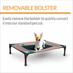 Removable bolster pet cot shown without bolster, mesh center on black metal frame