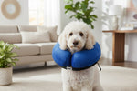 Blue KONG cloud protective pet collar featuring a plush ring and black attachment strap