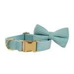 Teal corduroy dog collar with bowtie and gold clasp hardware
