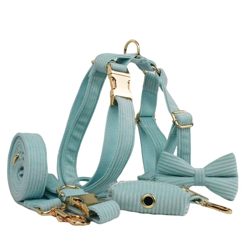 Teal corduroy pet harness set with bowtie collar, leash, and poop bag holder