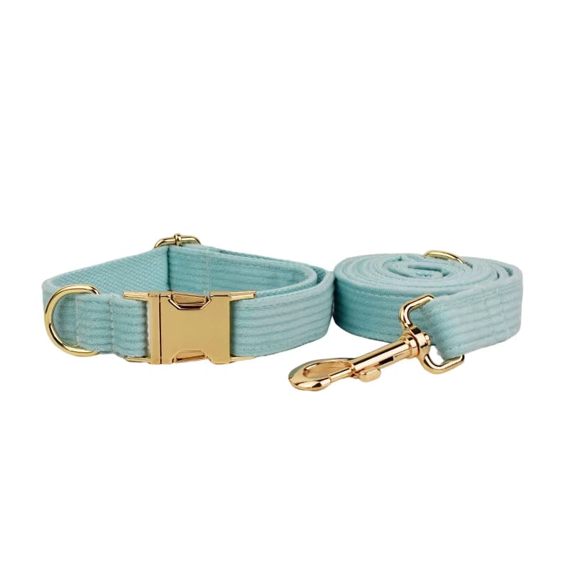 Teal corduroy pet collar and leash set with gold buckles