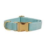 Teal corduroy pet collar with gold buckle and D-ring