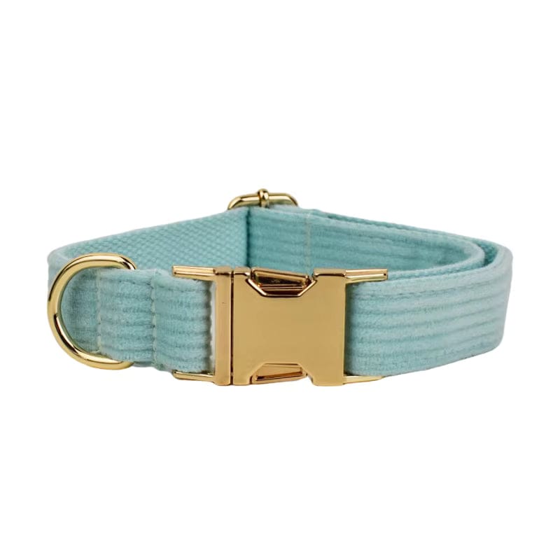 Teal corduroy pet collar with gold buckle and D-ring