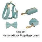 Teal corduroy pet harness set with bowtie, leash, and poop bag