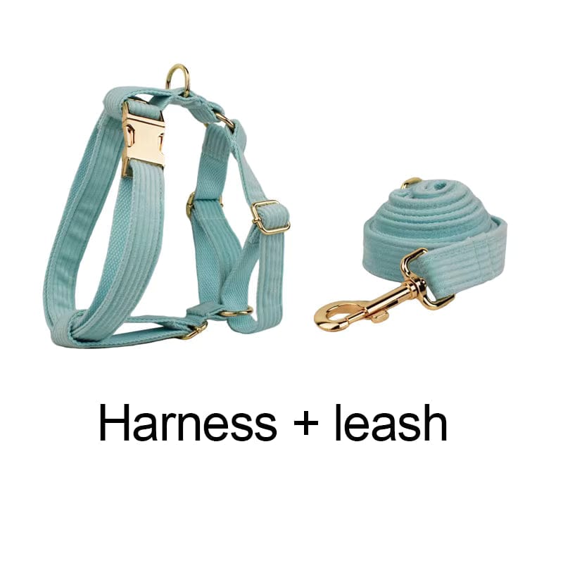 Teal corduroy pet harness with gold hardware and matching leash