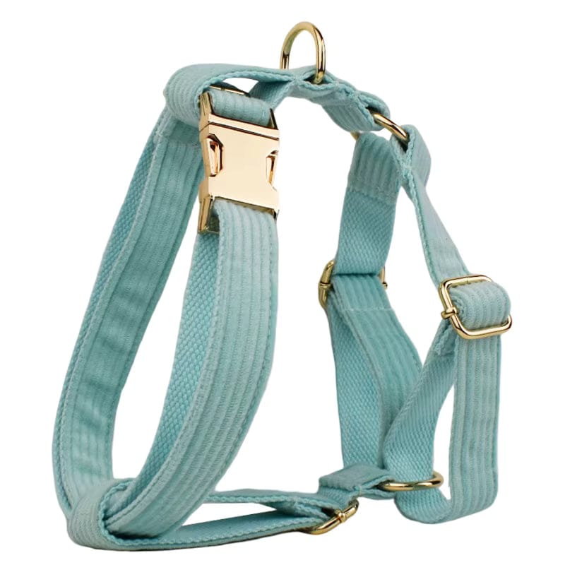 Teal corduroy pet harness with gold hardware and side strap rings